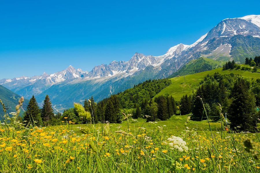 mont-blanc-elisalocci-istock-844061954.jpg